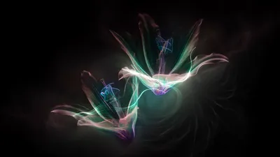 image of the Wild Byte Me, Blossom